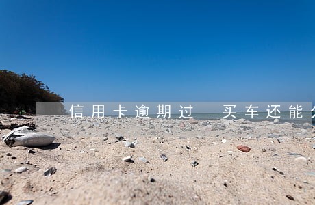 信用卡逾期过 买车还能分期吗 信用卡逾期过 买车还能分期吗